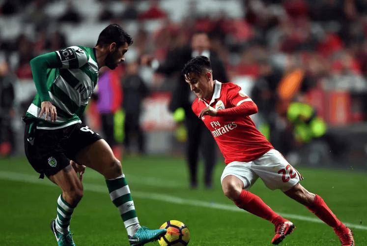 开云网页版-sunny电竞哔哩哔哩个人空间