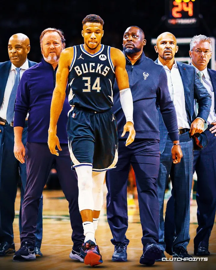 雄鹿教练组成员